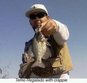 temocrappie.jpg