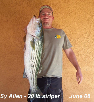 syallenstriper.jpg